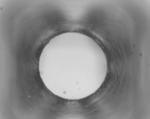 X0000089441447200707061356