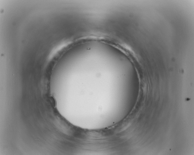 X0000089441448200707061356