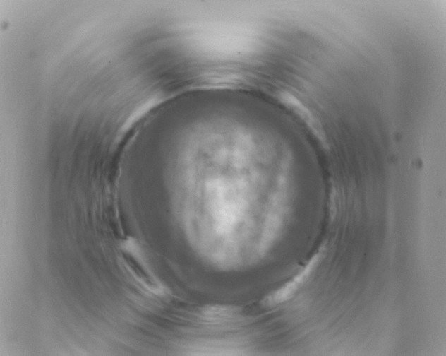 X0000089441449200707061356