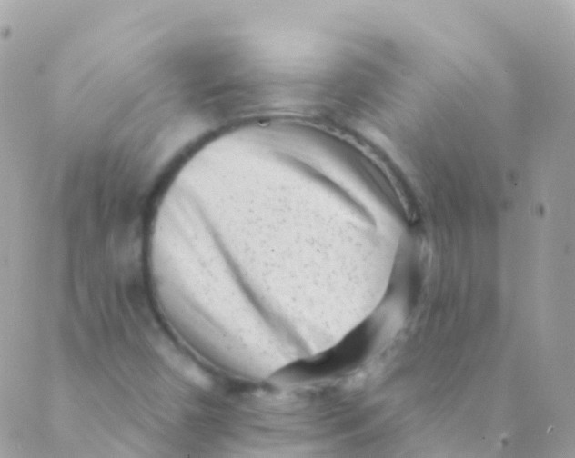 X0000089441450200707061356