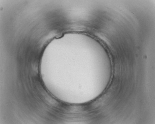 X0000089441451200707061356