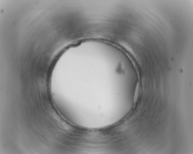 X0000089441452200707061356