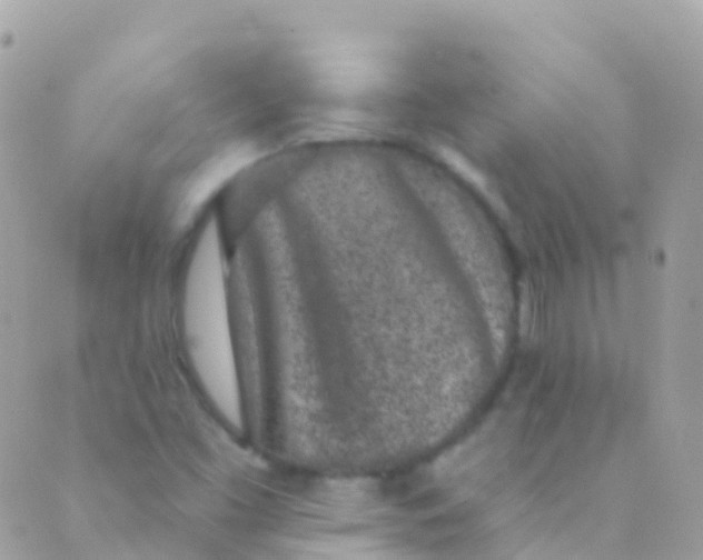 X0000089441453200707061356