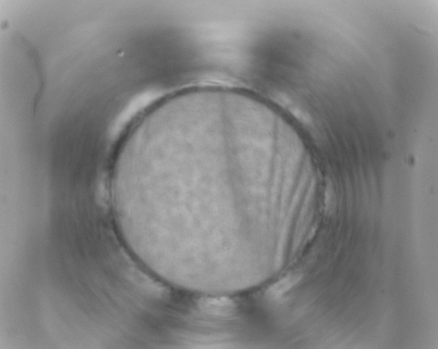 X0000089441454200707061356