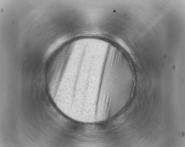 X0000089441456200707061356