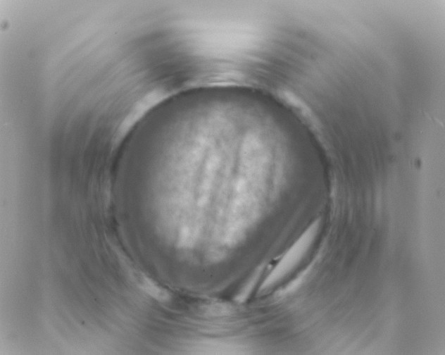 X0000089441457200707061356