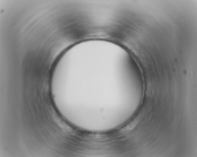 X0000089441458200707061356