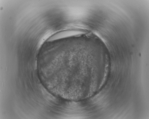 X0000089441459200707061356