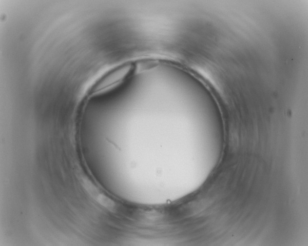 X0000089441460200707061356