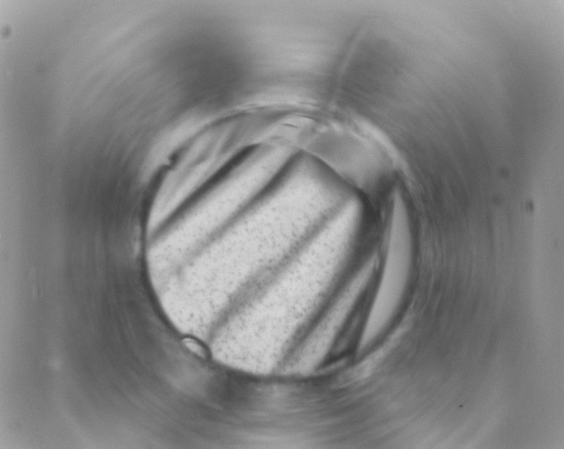 X0000089441461200707061356