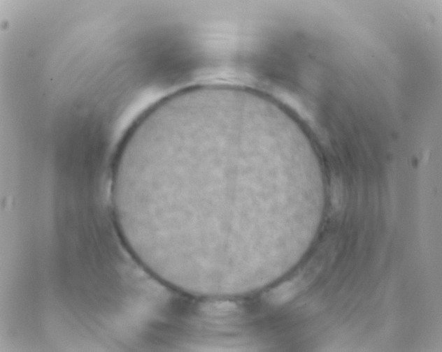 X0000089441462200707061356