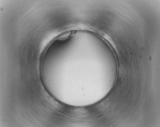 X0000089441464200707061356