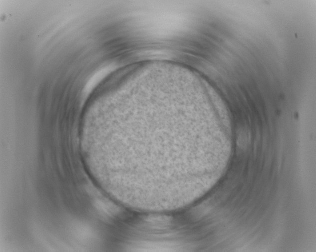 X0000089441466200707061356