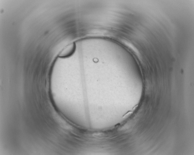 X0000089441467200707061356