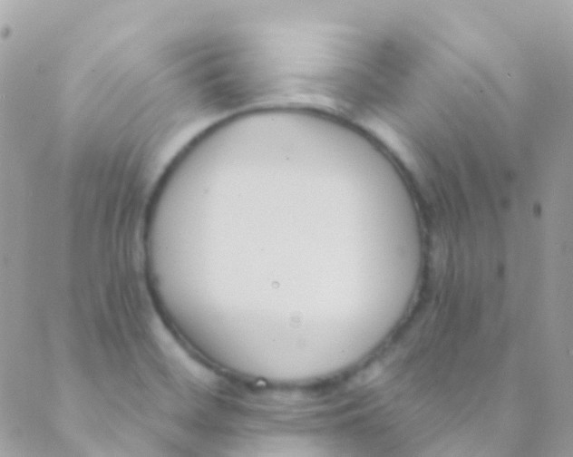 X0000089441468200707061356