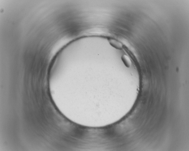 X0000089441469200707061356