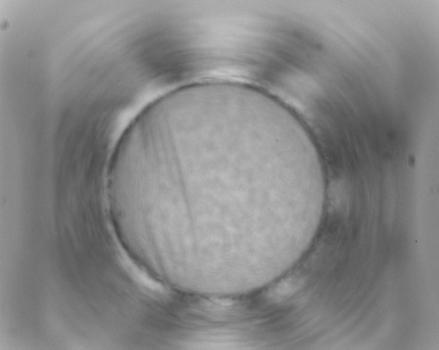 X0000089441470200707061356