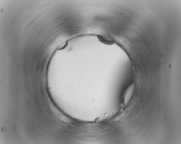 X0000089441471200707061356