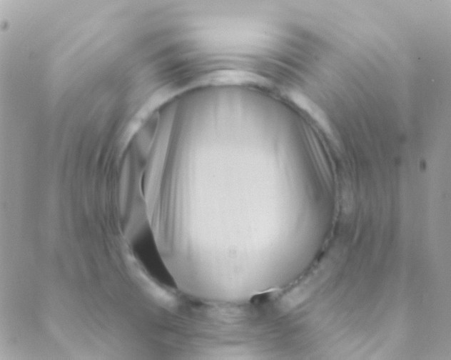 X0000089441473200707061356