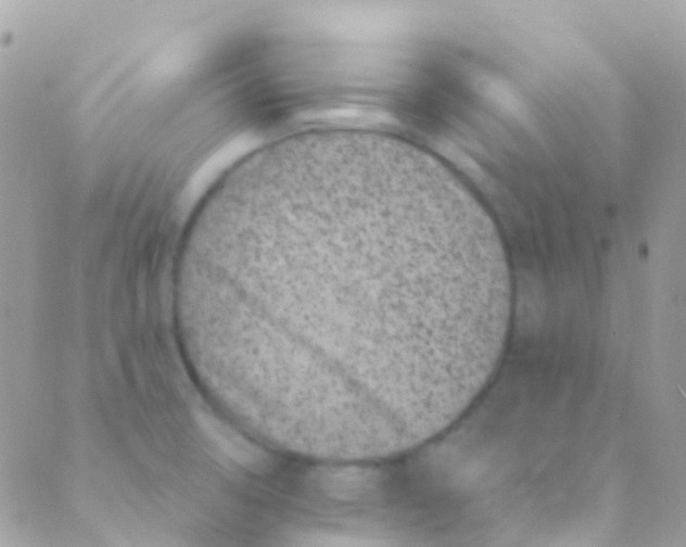 X0000089441474200707061356