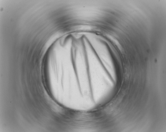 X0000089441475200707061356