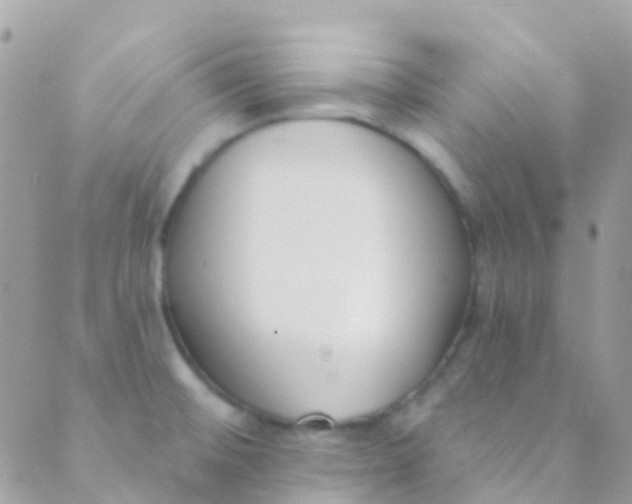 X0000089441476200707061356