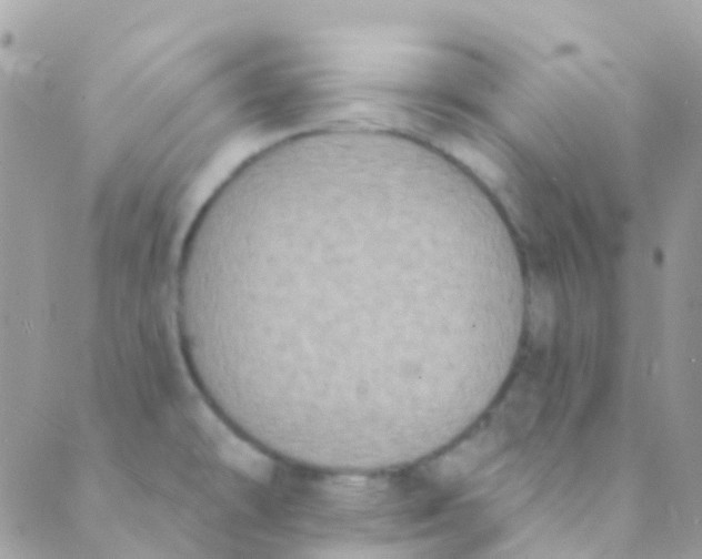 X0000089441478200707061356