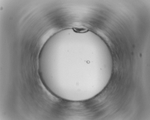 X0000089441479200707061356