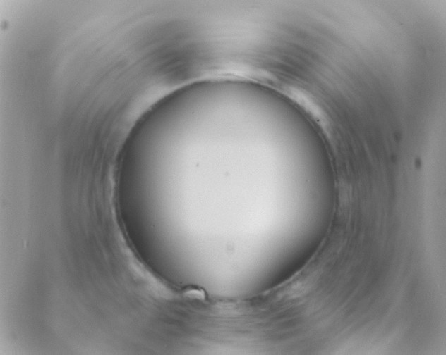 X0000089441480200707061356