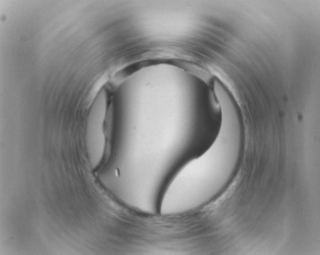 X0000089441481200707061356