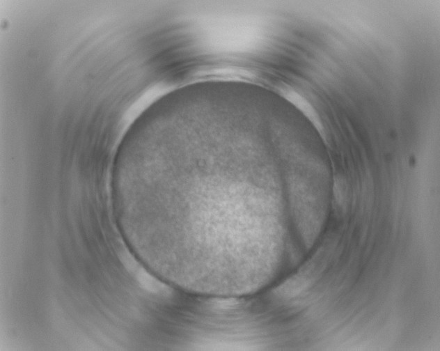 X0000089441482200707061356