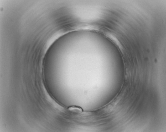 X0000089441483200707061356