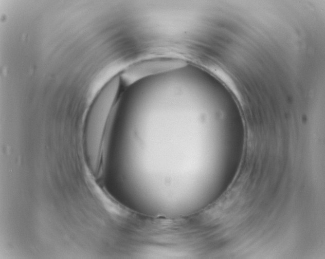 X0000089441485200707061356