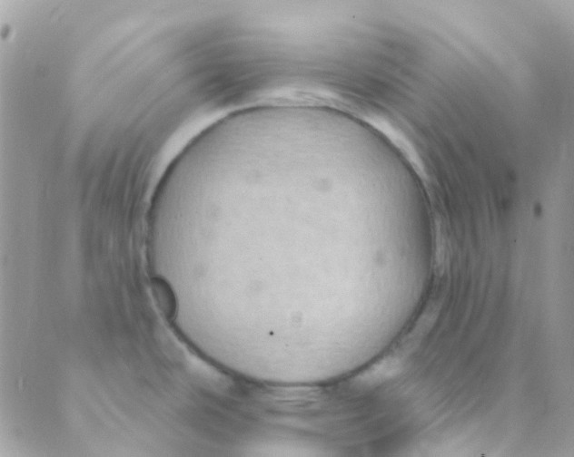 X0000089441486200707061356