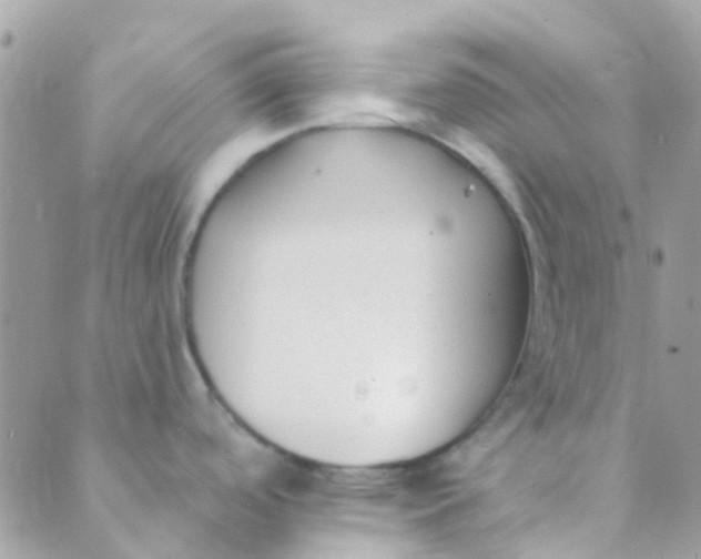 X0000089441488200707061356