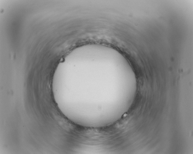 X0000089441489200707061355