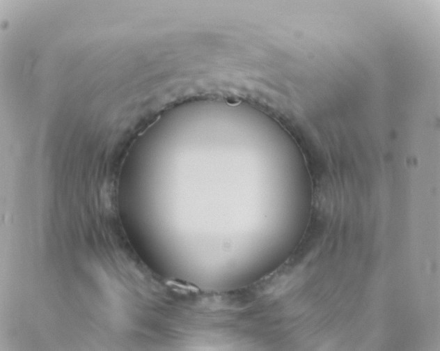 X0000089441490200707061355