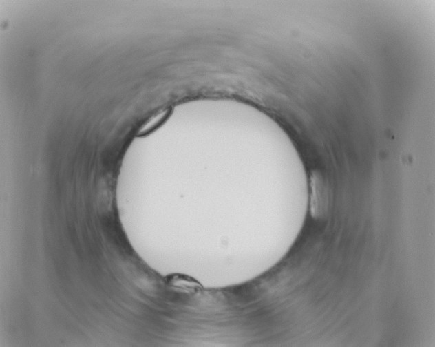 X0000089441491200707061355