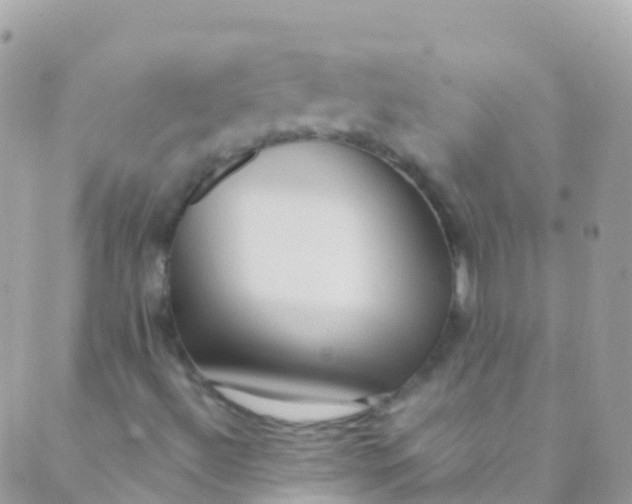 X0000089441492200707061355