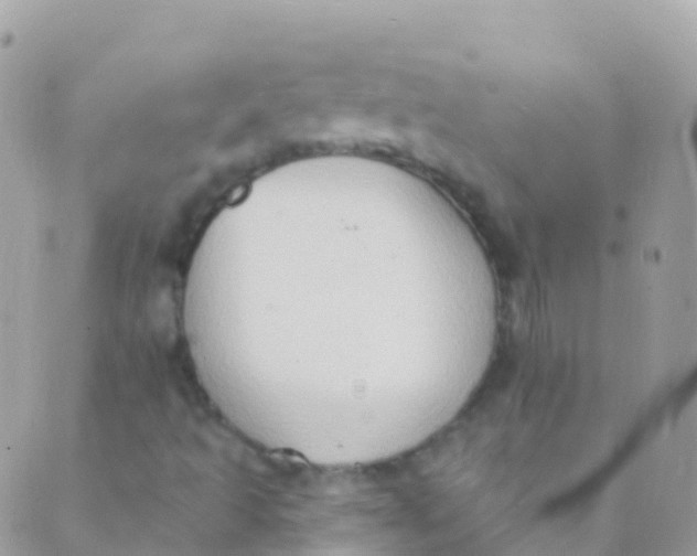 X0000089441493200707061355