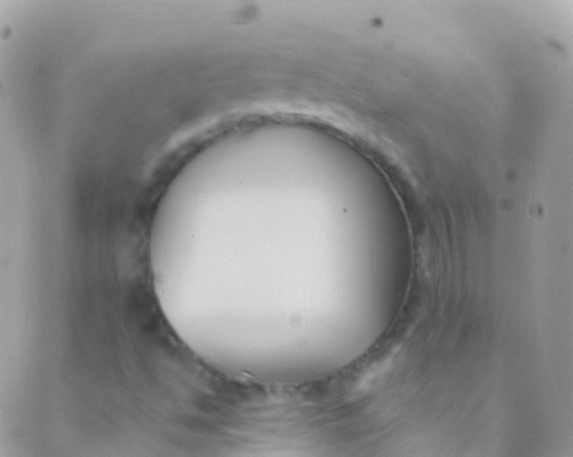 X0000089441494200707061355