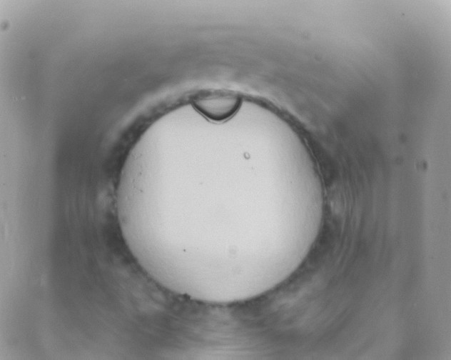 X0000089441495200707061355