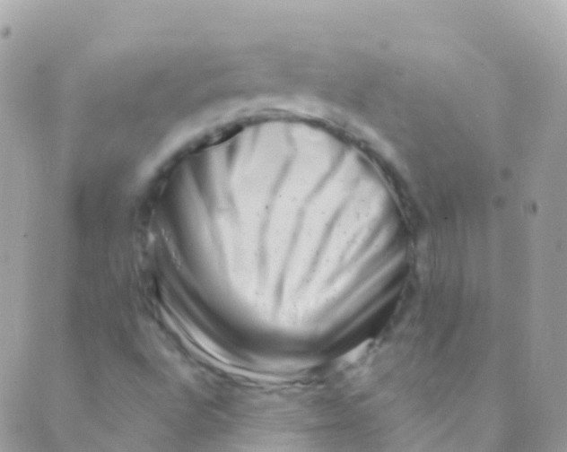 X0000089441496200707061355