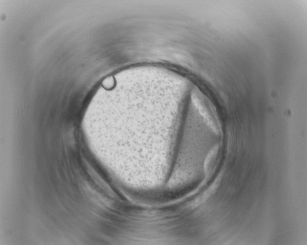 X0000089441497200707061355