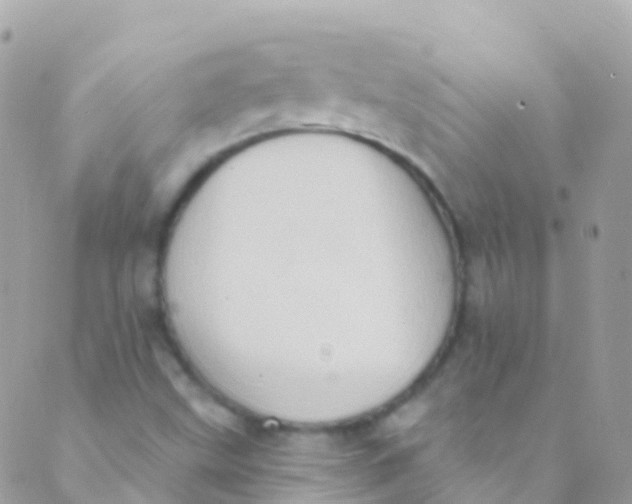 X0000089441499200707061355