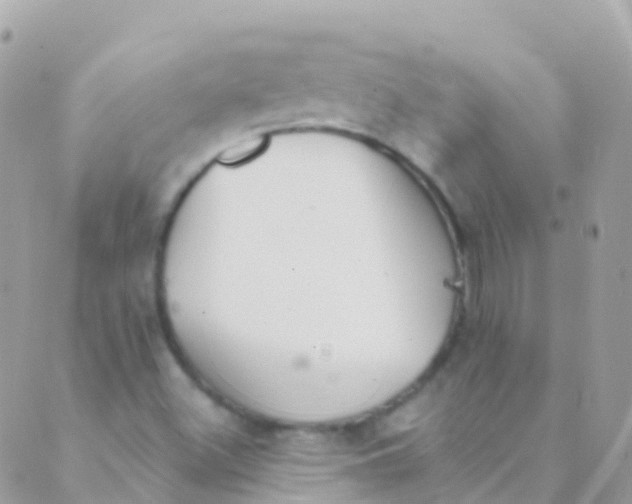 X0000089441500200707061355