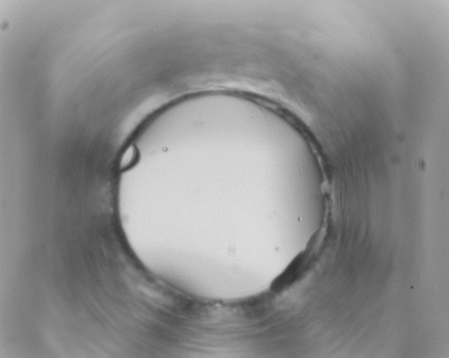 X0000089441501200707061355