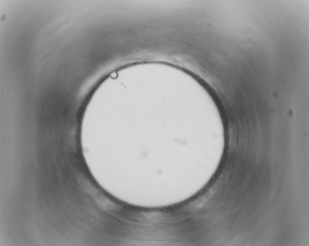 X0000089441502200707061355