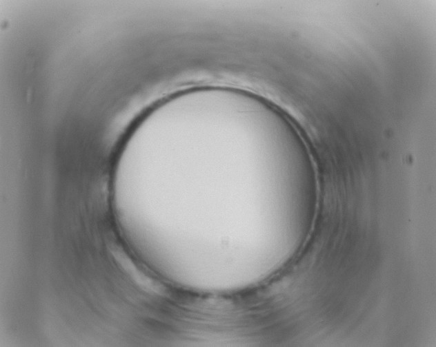 X0000089441503200707061355