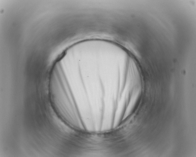 X0000089441504200707061355